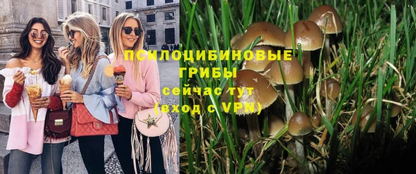мяу мяу мука Алзамай